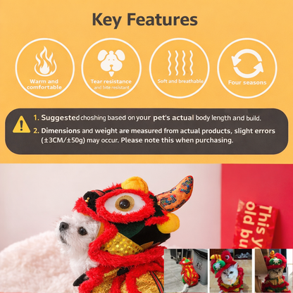 EightFold Pawsome Lion Dance Costume
